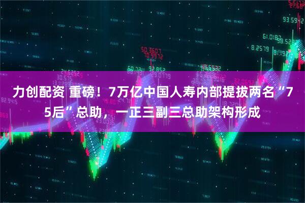 力创配资 重磅！7万亿中国人寿内部提拔两名“75后”总助，一正三副三总助架构形成