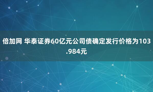 倍加网 华泰证券60亿元公司债确定发行价格为103.984元