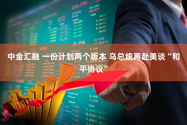 中金汇融 一份计划两个版本 乌总统再赴美谈“和平协议”