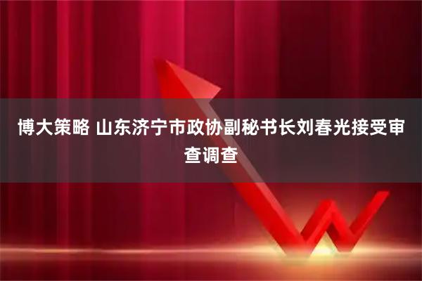 博大策略 山东济宁市政协副秘书长刘春光接受审查调查