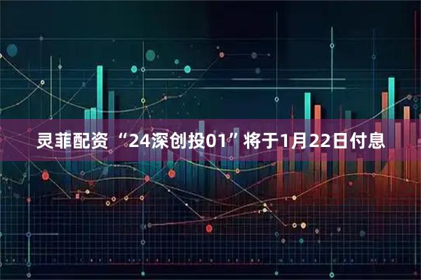 灵菲配资 “24深创投01”将于1月22日付息